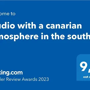 With A Canarian Atmosphere In The South Costa Del Silencio